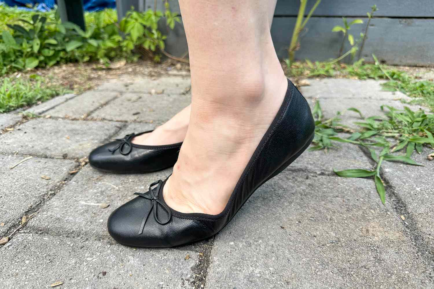 Stepwise Shoes Sales Store -Stepwise Shoes Sales Store tal birdies hummingbird ballet flat hillary maglin 2 bd2147c47a3443f0be11dc623e12d8de